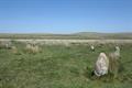 Ring Moor Down 05Photo Ring Moor Down Photo