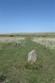 Ring Moor Down 10Photo Ring Moor Down Photo