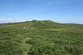 Saddle Tor Photo