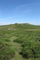 Saddle Tor Photo