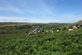 Saddle Tor Photo