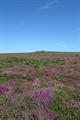 Carn Kenidjack Photo