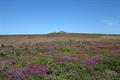 Carn Kenidjack Photo