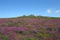 Carn Kenidjack Photo