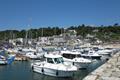 Lyme Regis Photo