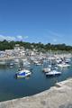 Lyme Regis Photo