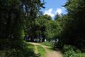 Deerpark Photo