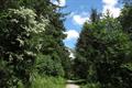 Deerpark Photo