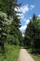 Deerpark Photo