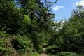 Deerpark Photo