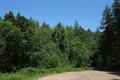 Eggesford Forest 15Photo Eggesford Forest Photo